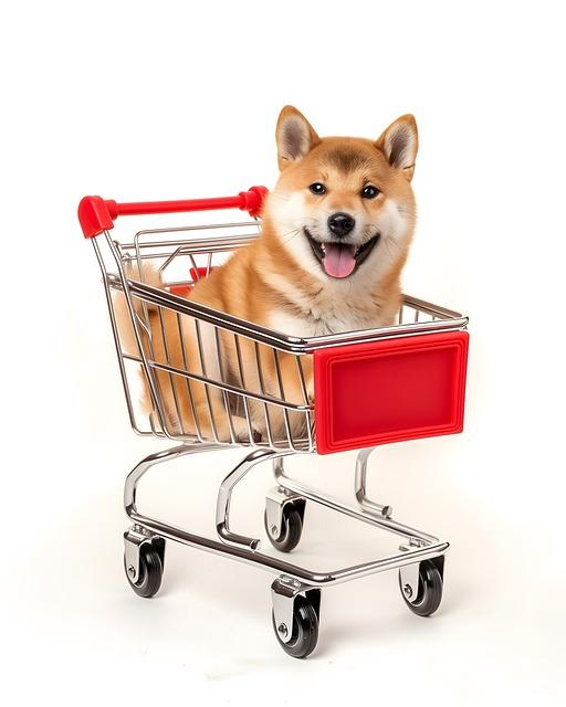 Shiba Inu Vlastnosti: Co Očekávat od Tohohle Plemena