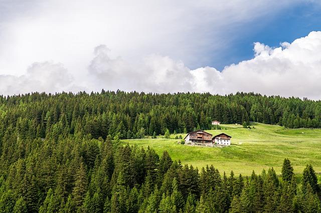 Ochrana a bezpečnost: Jak uchránit vašeho psa před nebezpečím a rozptýlením